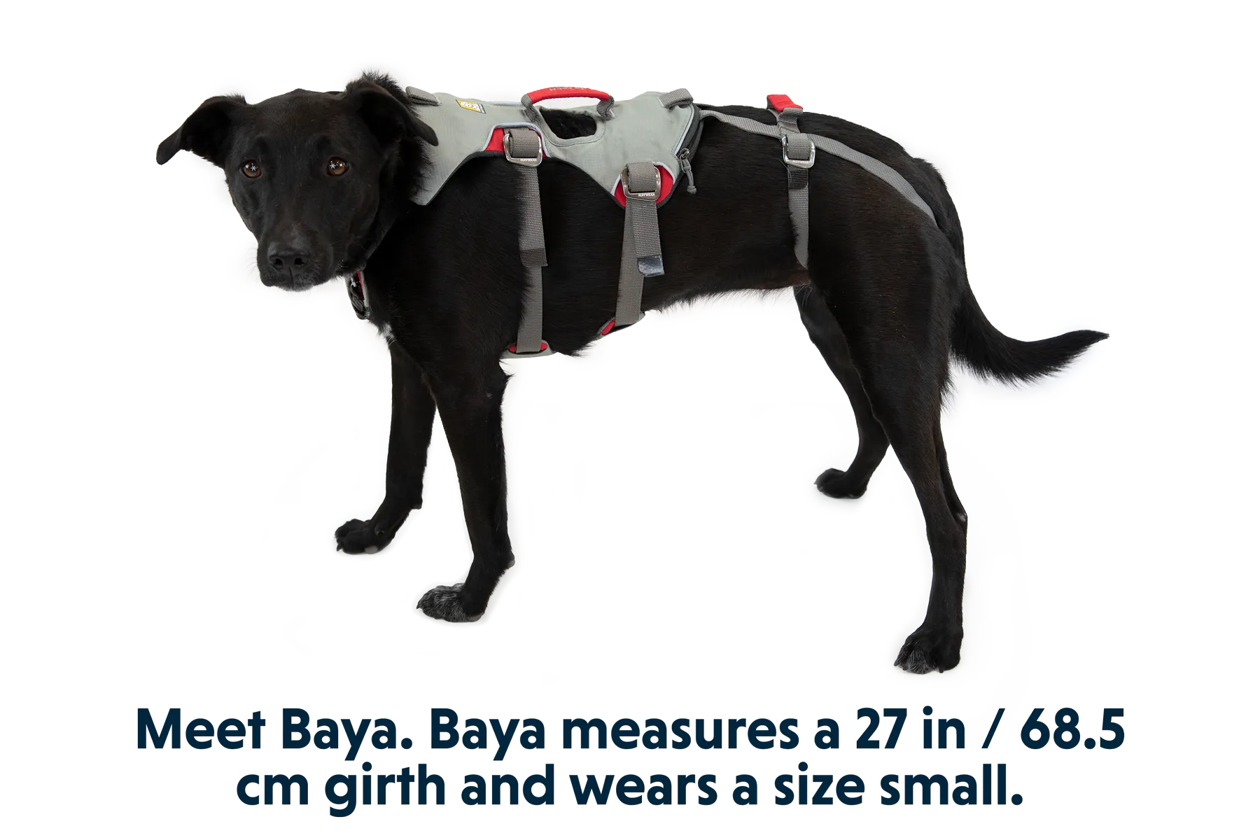 Doubleback™ Full Body Dog Harness